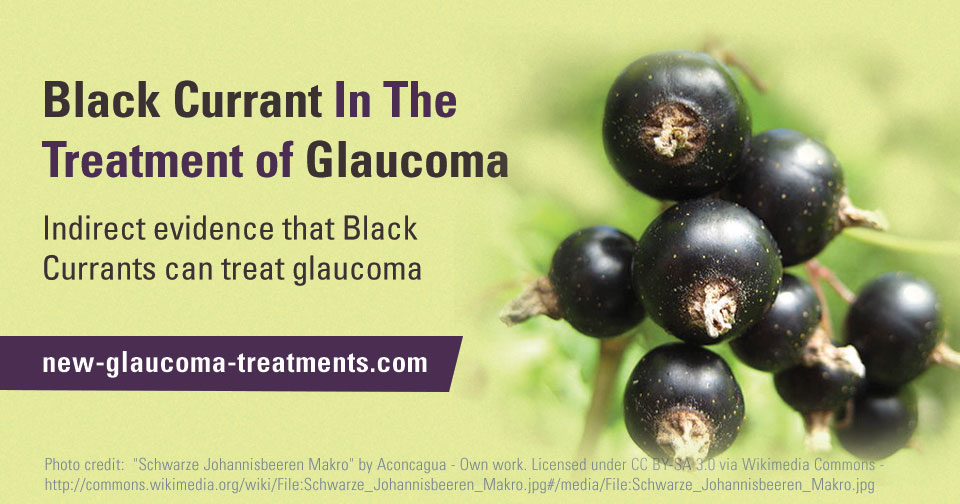 Black Currant – A Natural Source of Quercetin