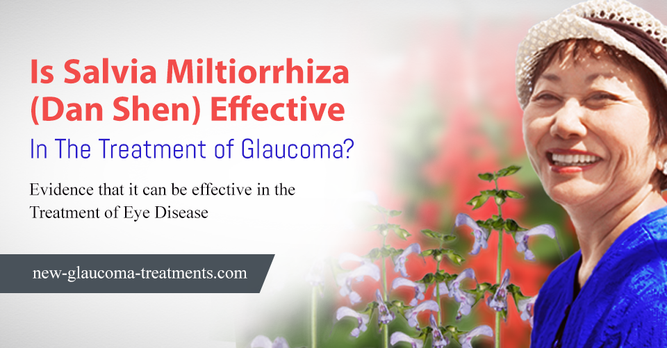 Is Salvia Miltiorrhiza (Dan Shen) Effective In The Treatment of Glaucoma?