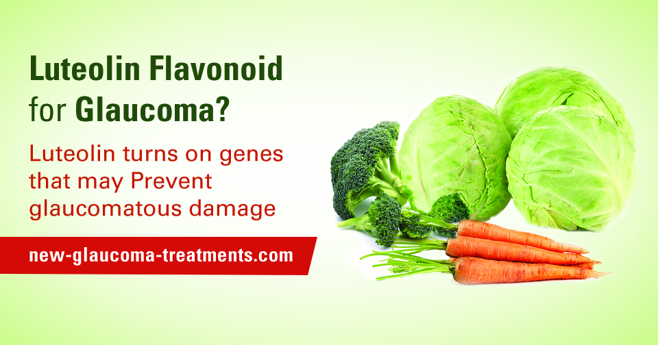 Luteolin Flavonoid for Glaucoma