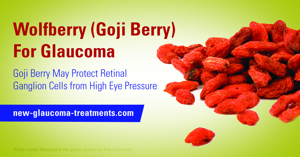 Wolfberry Goji Berry for Glaucoma